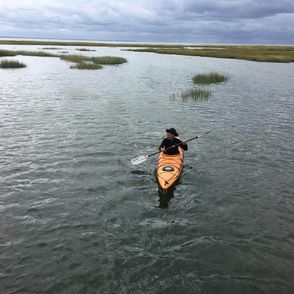 Kayaking field research