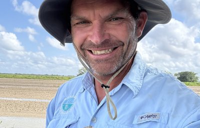 Shorebird research in the field