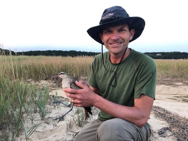 Shorebird research
