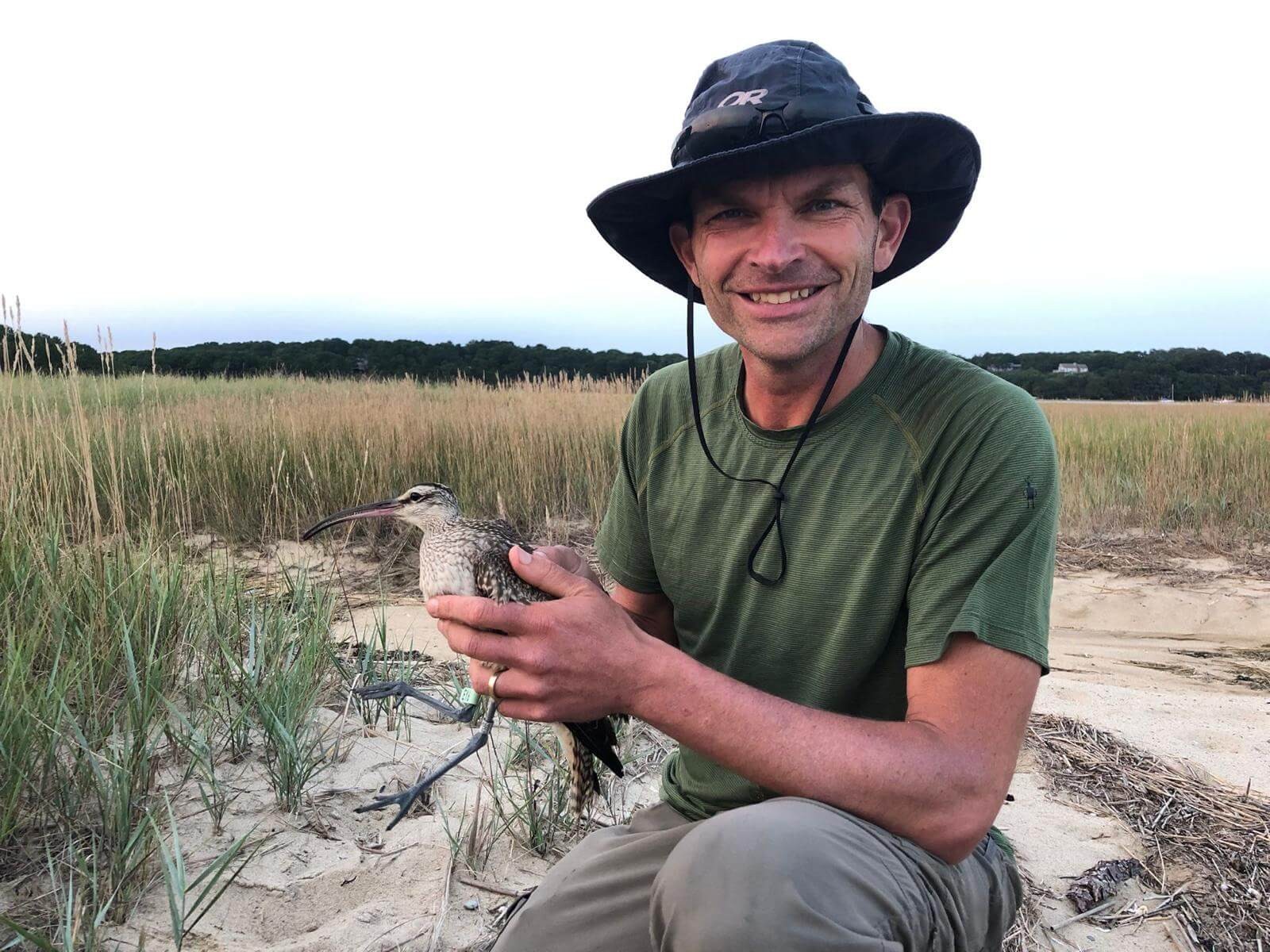 Shiloh conducting Whimbrel research on coastal dunes (Photo by Brad Winn)