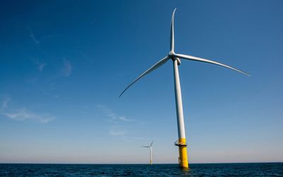 The Whimbrel and the Wind Turbines: Capable of Coexistence?